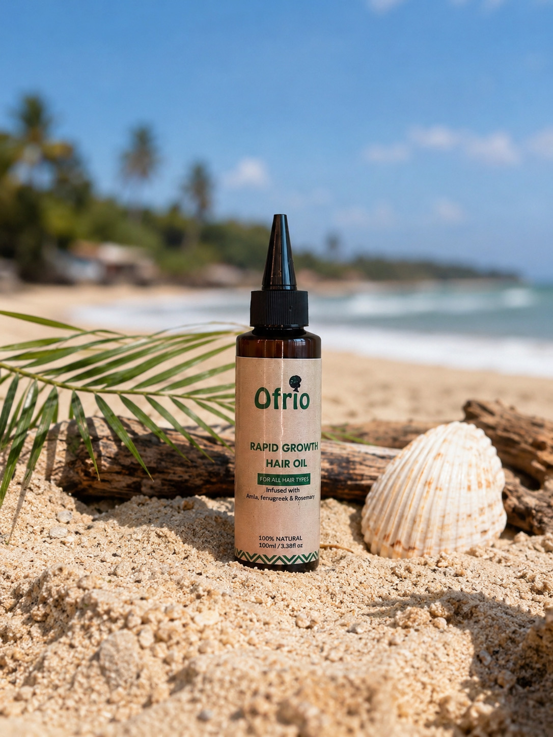 Ofrio oil on a beach